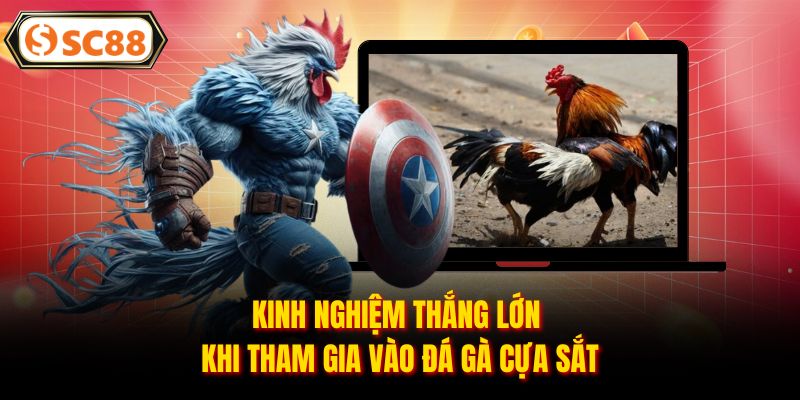 Kinh nghiệm thắng lớn khi tham gia vào đá gà cựa sắt