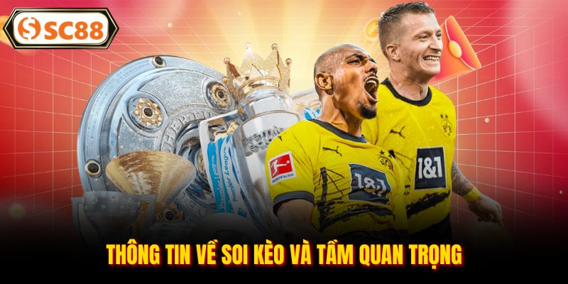 Thông tin về soi kèo và tầm quan trọng
