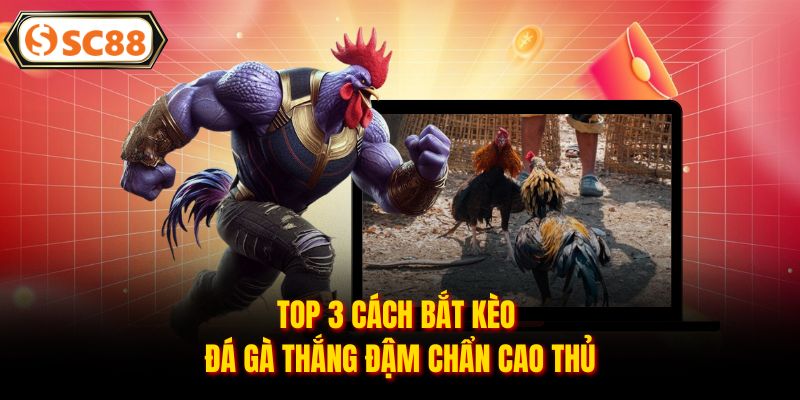 Top 3 cách bắt kèo đá gà thắng đậm chẩn cao thủ