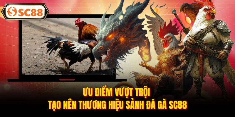 Ưu điểm vượt trội tạo nên thương hiệu sảnh đá gà SC88